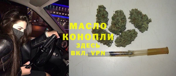 мдпв Верхний Тагил