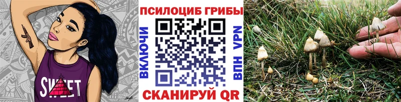 Галлюциногенные грибы Magic Shrooms  Вяземский 